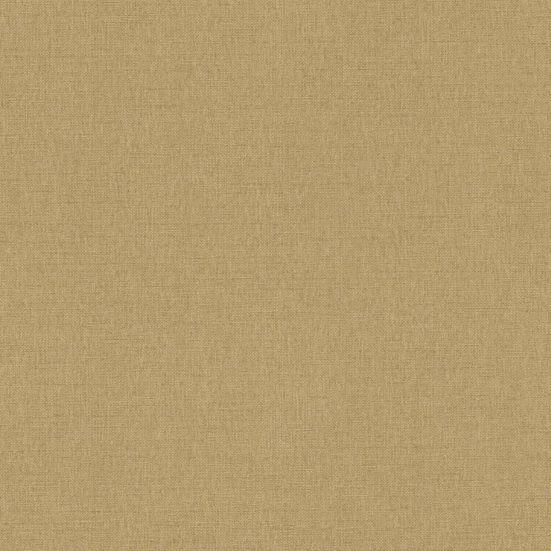 AS399883 Plain Colour Beige Yellow Vibes & Styles Wallpaper by A S Creation
