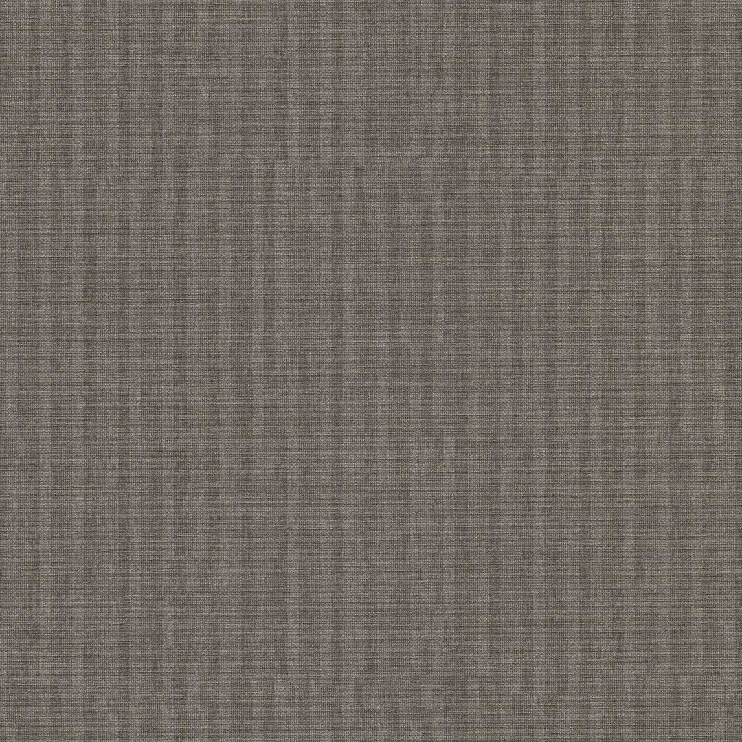 AS399884 Plain Colour Grey Brown Vibes & Styles Wallpaper by A S Creation