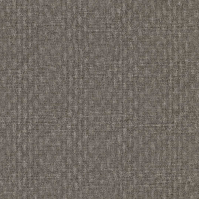 AS399884 Plain Colour Grey Brown Vibes & Styles Wallpaper by A S Creation