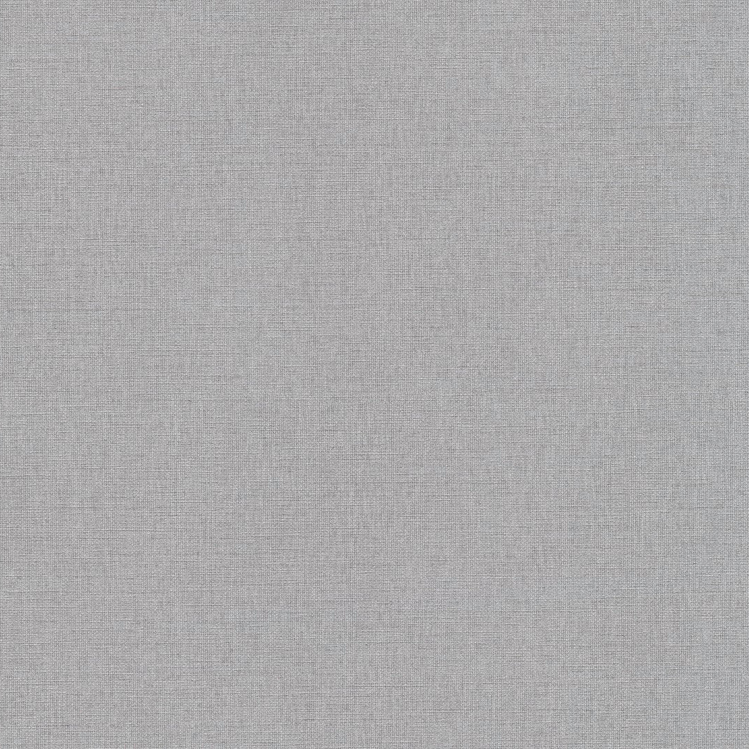 AS399891 Plain Colour Grey Vibes & Styles Wallpaper by A S Creation