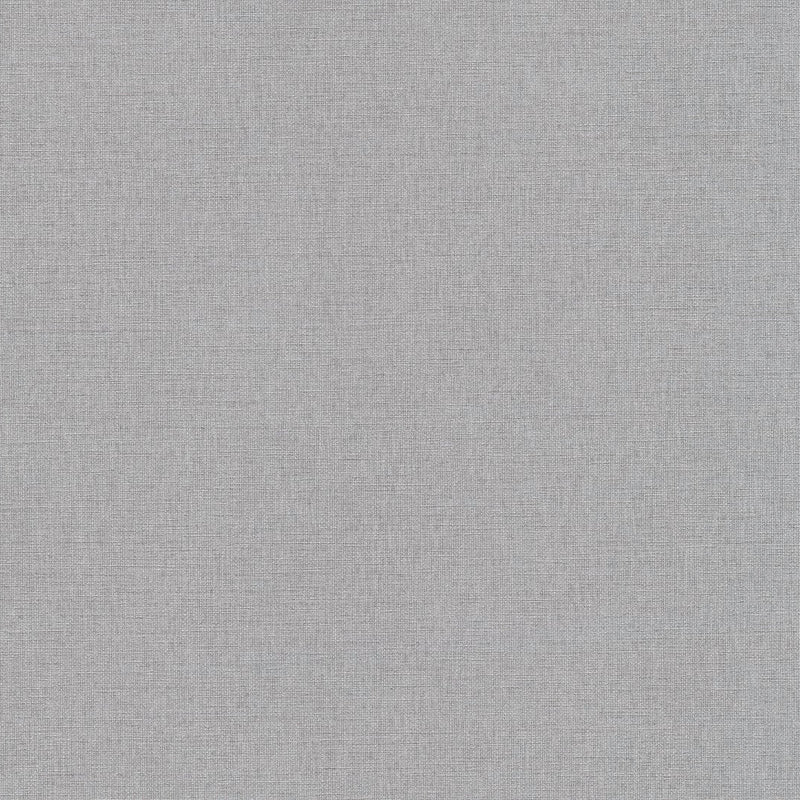 AS399891 Plain Colour Grey Vibes & Styles Wallpaper by A S Creation