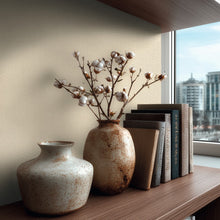 AS399892 Plain Colour Beige Vibes & Styles Wallpaper by A S Creation