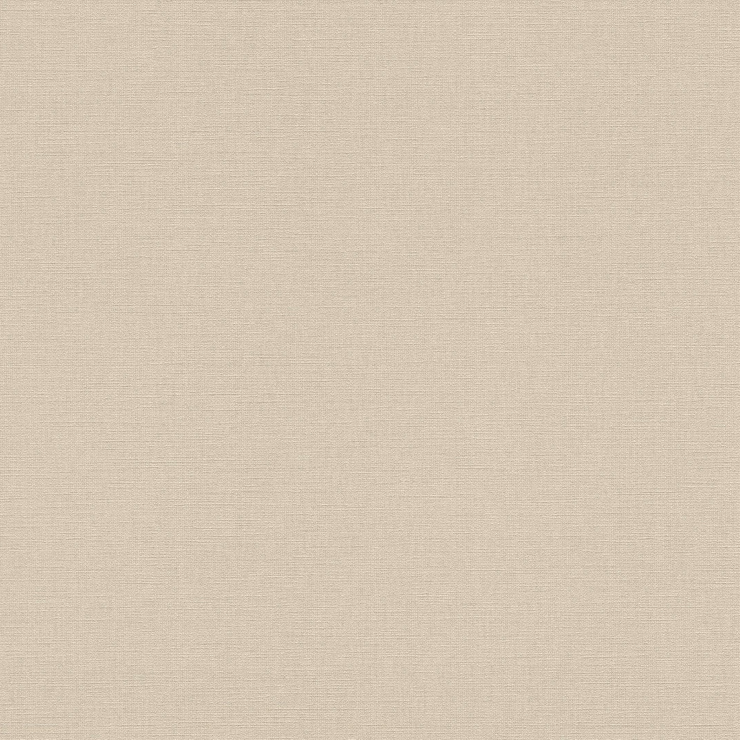 AS399892 Plain Colour Beige Vibes & Styles Wallpaper by A S Creation