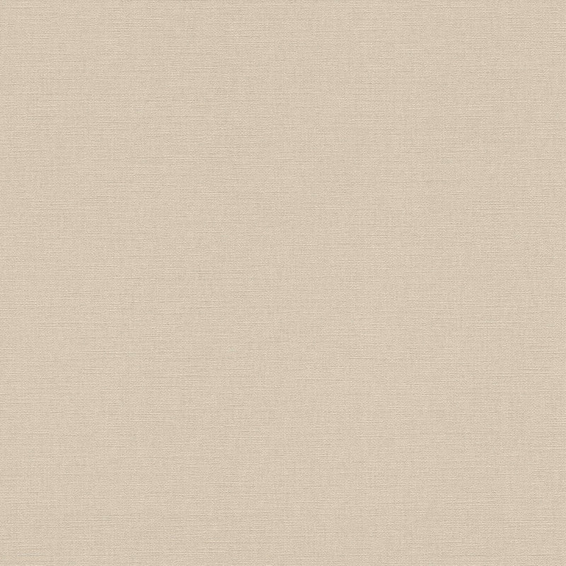 AS399892 Plain Colour Beige Vibes & Styles Wallpaper by A S Creation