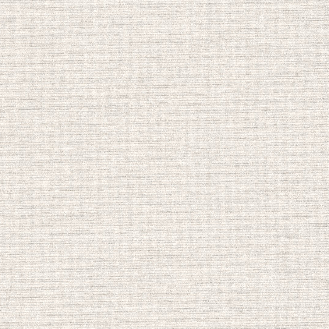 AS399893 Plain Colour White Vibes & Styles Wallpaper by A S Creation