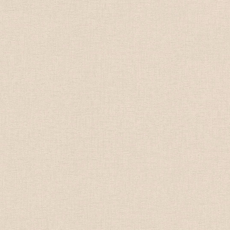 AS790102 Textured Beige Vibes & Styles Wallpaper by A S Creation