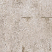 79085-3 CosmoLiving Graphite Groove by Cosmopolitan