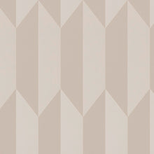 79086-1 CosmoLiving Graphic Groove by Cosmopolitan