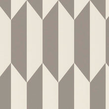 79086-3 CosmoLiving Graphic Groove by Cosmopolitan