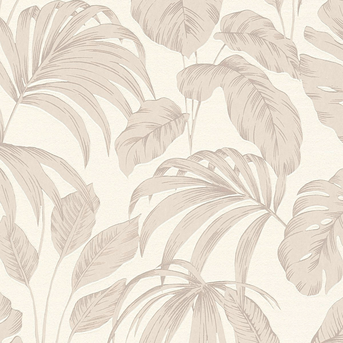 AS790892 Beige, Brown and White Nature Attractive 3 Wallpaper by A S Creation
