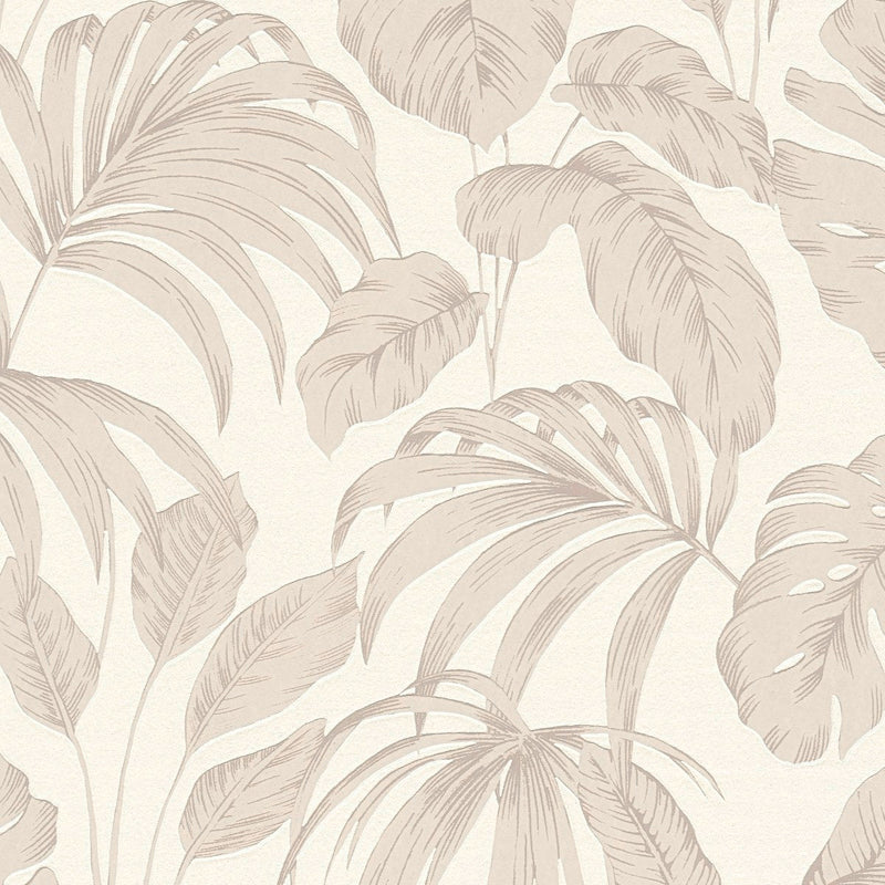 AS790892 Beige, Brown and White Nature Attractive 3 Wallpaper by A S Creation