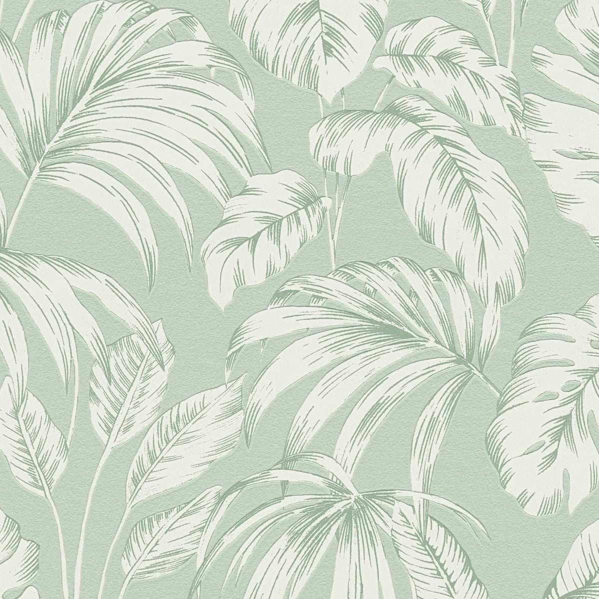 AS790893 Green and White Nature Attractive 3 Wallpaper by A S Creation