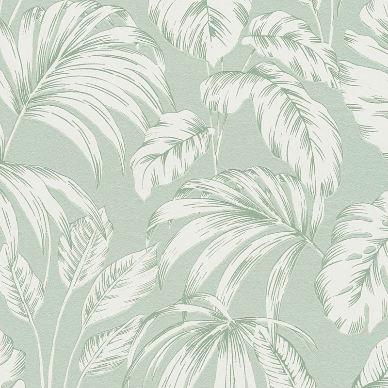 AS790893 Green and White Nature Attractive 3 Wallpaper by A S Creation