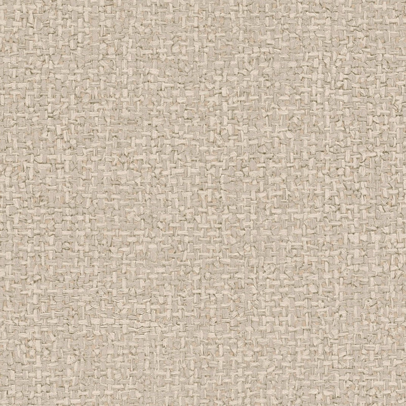 AS791123 Modern Cream Beige Vibes & Styles Wallpaper by A S Creation