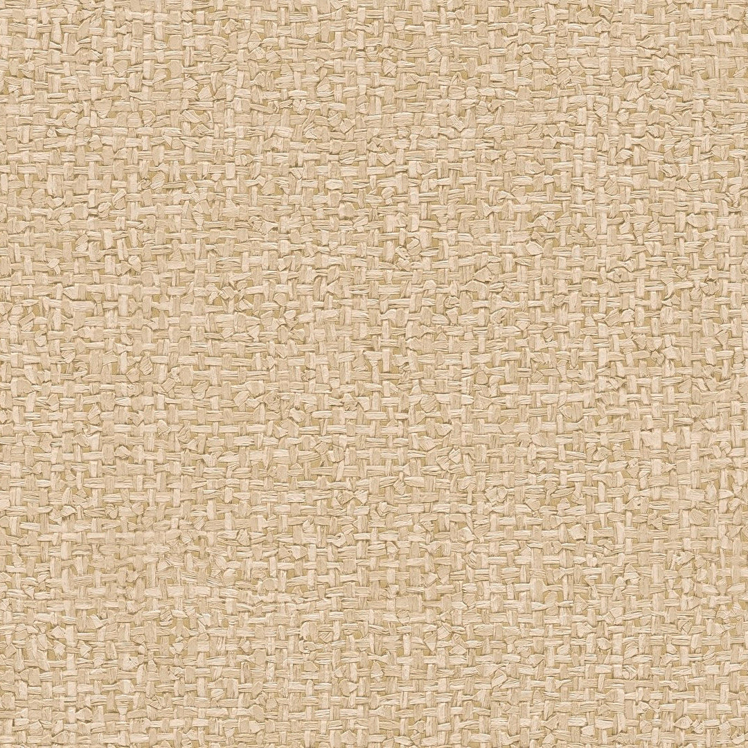 AS791126 Modern Cream Beige Vibes & Styles Wallpaper by A S Creation