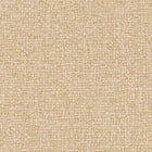 AS791126 Modern Cream Beige Vibes & Styles Wallpaper by A S Creation