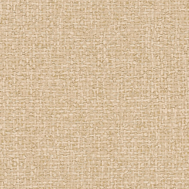 AS791126 Modern Cream Beige Vibes & Styles Wallpaper by A S Creation
