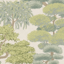 Bonsai Grove Sage Cuba II Wallpaper by A S Creation — flat