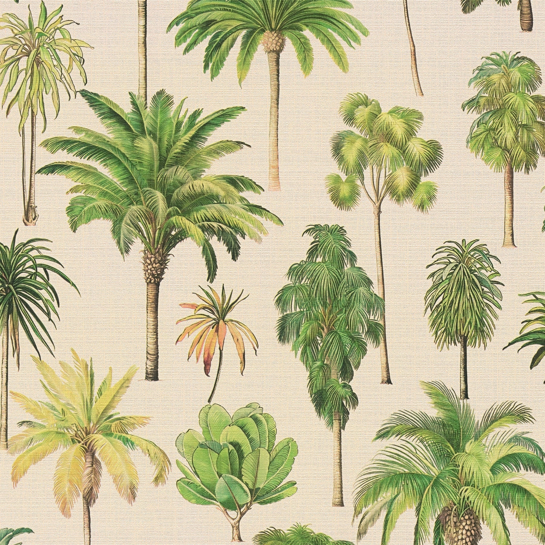 791711 Nature Cream Beige Wallpaper by A S Creation