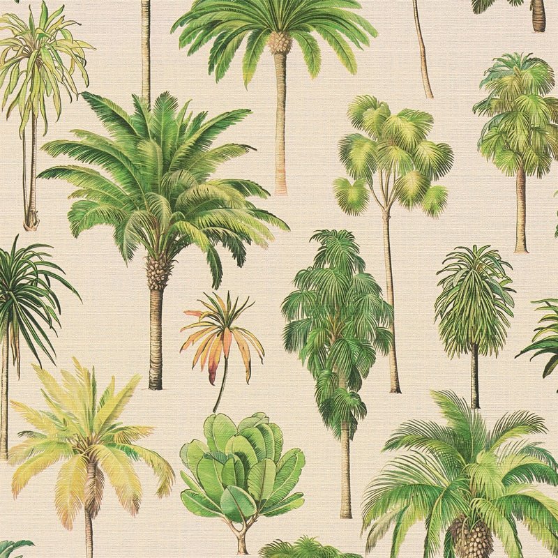 791711 Nature Cream Beige Wallpaper by A S Creation