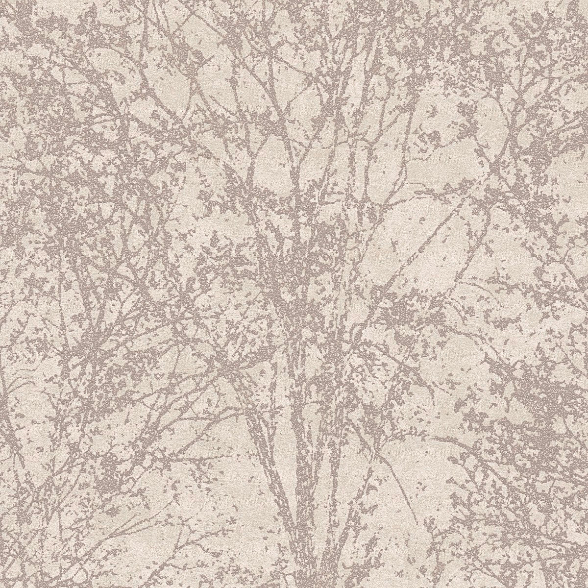 AS791901 Beige, Brown and Cream Nature Attractive 3 Wallpaper by A S Creation
