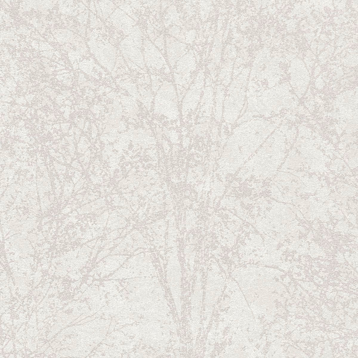 AS791902 Brown and Cream Nature Attractive 3 Wallpaper by A S Creation