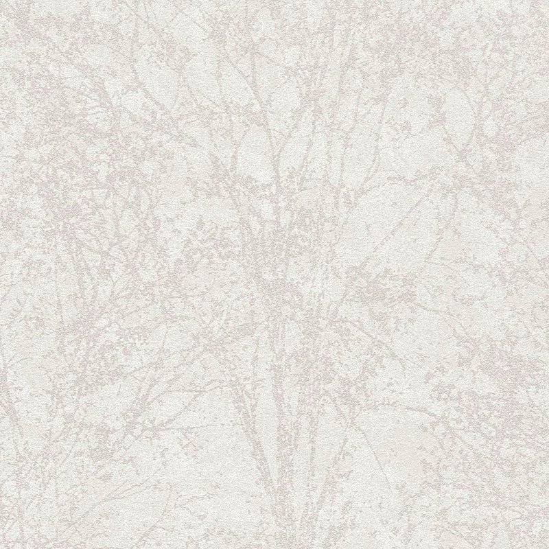 AS791902 Brown and Cream Nature Attractive 3 Wallpaper by A S Creation