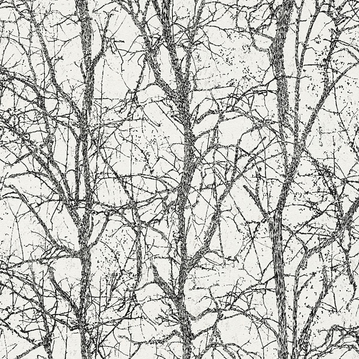 AS791911 Metallic, Black and White Nature Attractive 3 Wallpaper by A S Creation