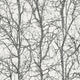 Metallic, Black and White Nature Attractive 3 Wallpaper by A S Creation