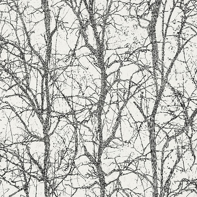 AS791911 Metallic, Black and White Nature Attractive 3 Wallpaper by A S Creation