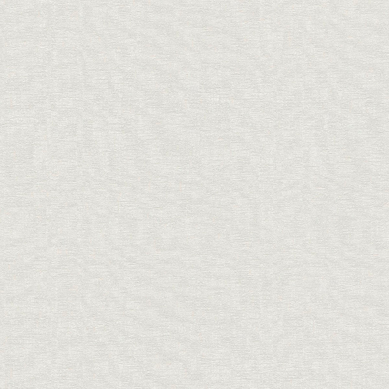 AS791932 Beige Attractive 3 Wallpaper by A S Creation