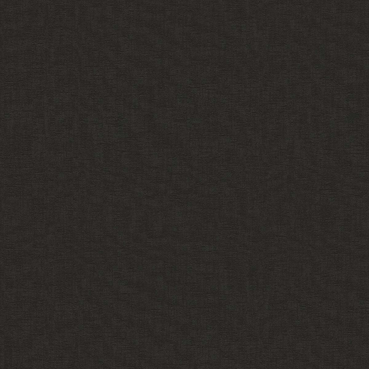 AS791936 Black Attractive 3 Wallpaper by A S Creation