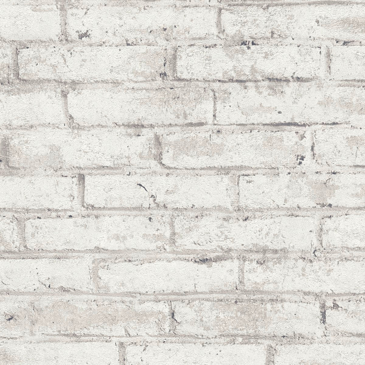 AS791941 Grey and White Nature Attractive 3 Wallpaper by A S Creation