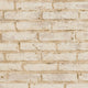 Beige, Cream and Yellow Nature Attractive 3 Wallpaper by A S Creation