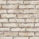 AS791944 Beige, Cream and Grey Nature Attractive 3 Wallpaper by A S Creation