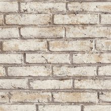 AS791944 Beige, Cream and Grey Nature Attractive 3 Wallpaper by A S Creation