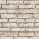 Beige, Cream and Grey Nature Attractive 3 Wallpaper by A S Creation