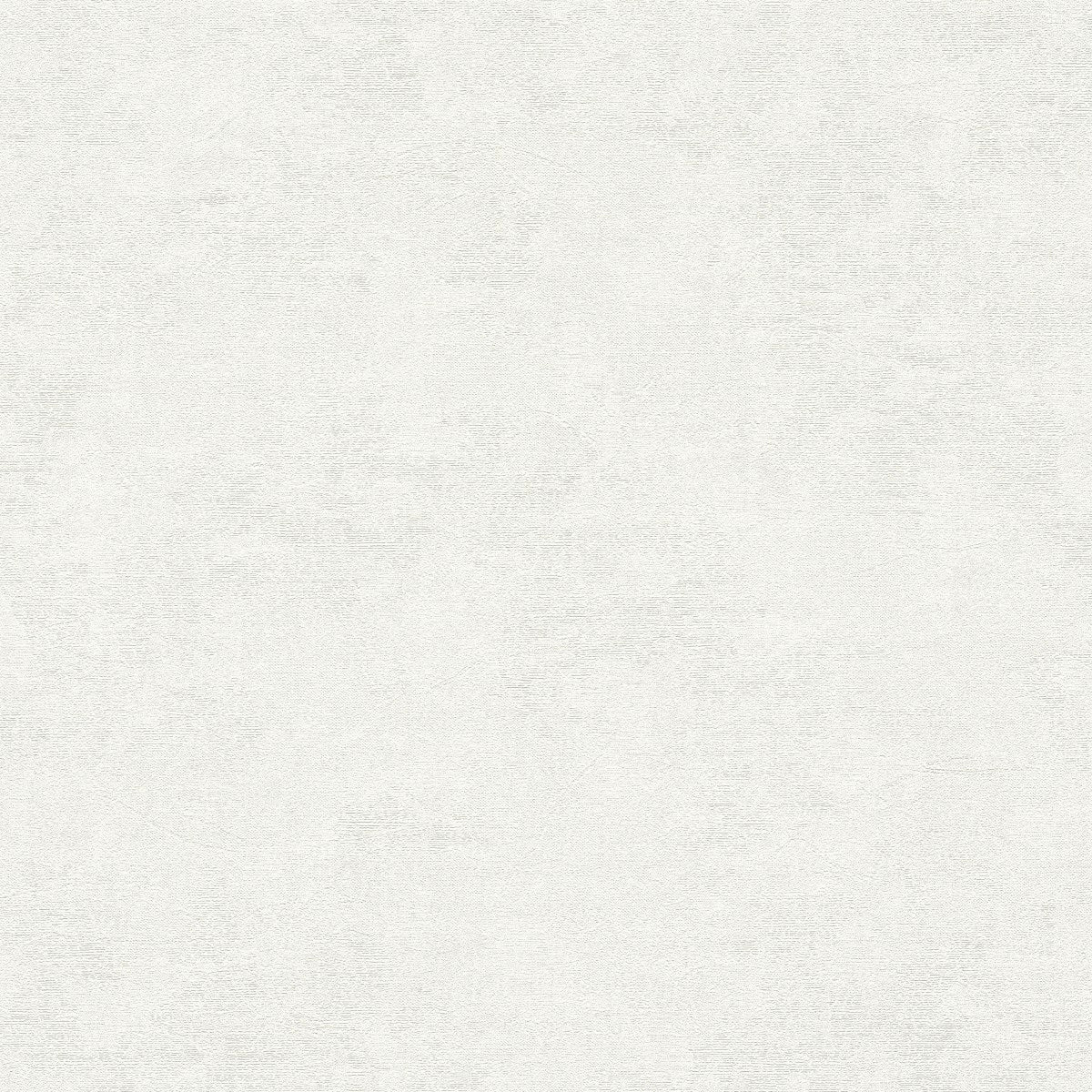 AS791962 Grey and White Nature Attractive 3 Wallpaper by A S Creation