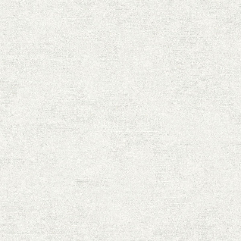AS791962 Grey and White Nature Attractive 3 Wallpaper by A S Creation