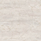 AS791996 Nature Metallic Grey Vibes & Styles Wallpaper by A S Creation