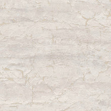 AS791996 Nature Metallic Grey Vibes & Styles Wallpaper by A S Creation