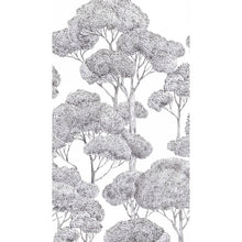 792167 Black Grey Vibes & Styles Mural by A S Creation