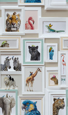 Animal Gallery Wall White Curiosity Wallpaper by A S Creation