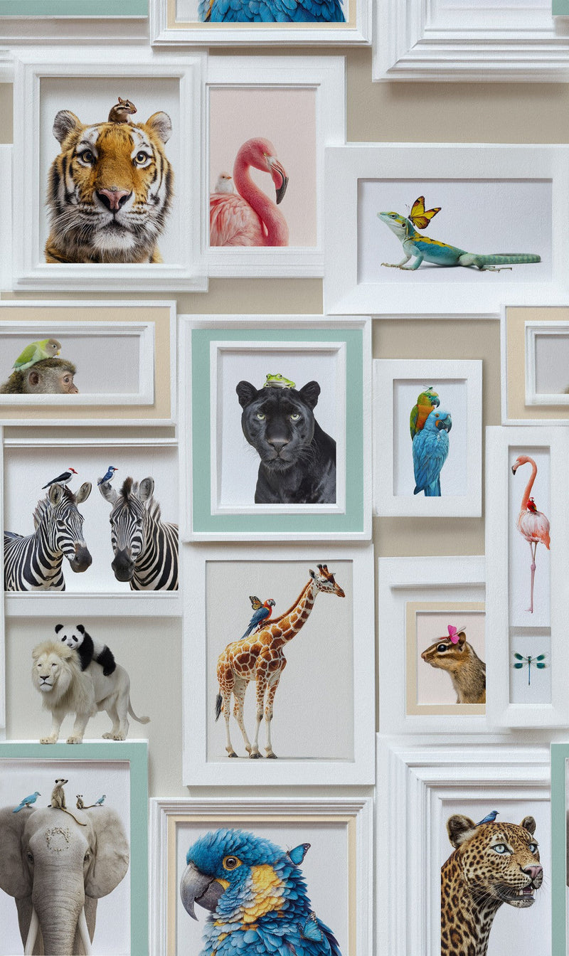 Animal Gallery Wall White Curiosity Wallpaper by A S Creation