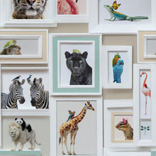 Animal Gallery Wall White Curiosity Wallpaper by A S Creation