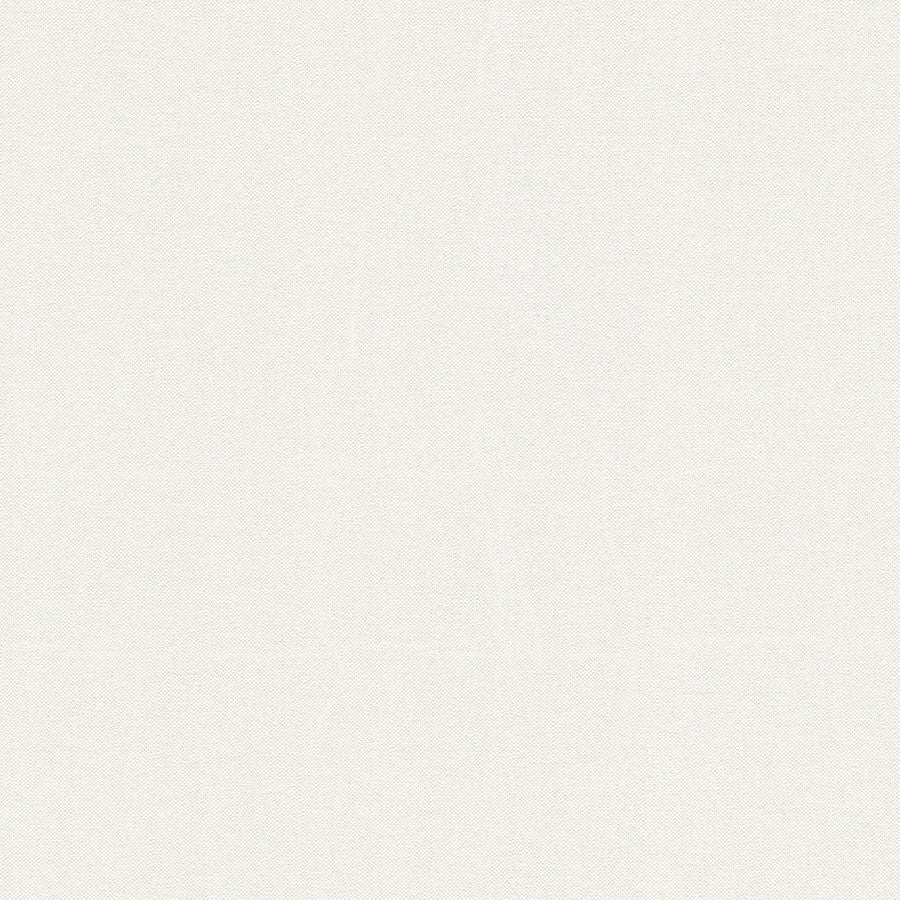 93676-1 Attractive 2 Wallpaper by A S Creation