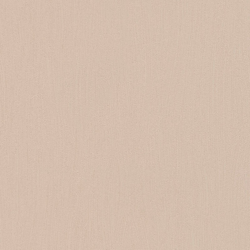 AS968029 Beige and Brown Textured Attractive 3 Wallpaper by A S Creation