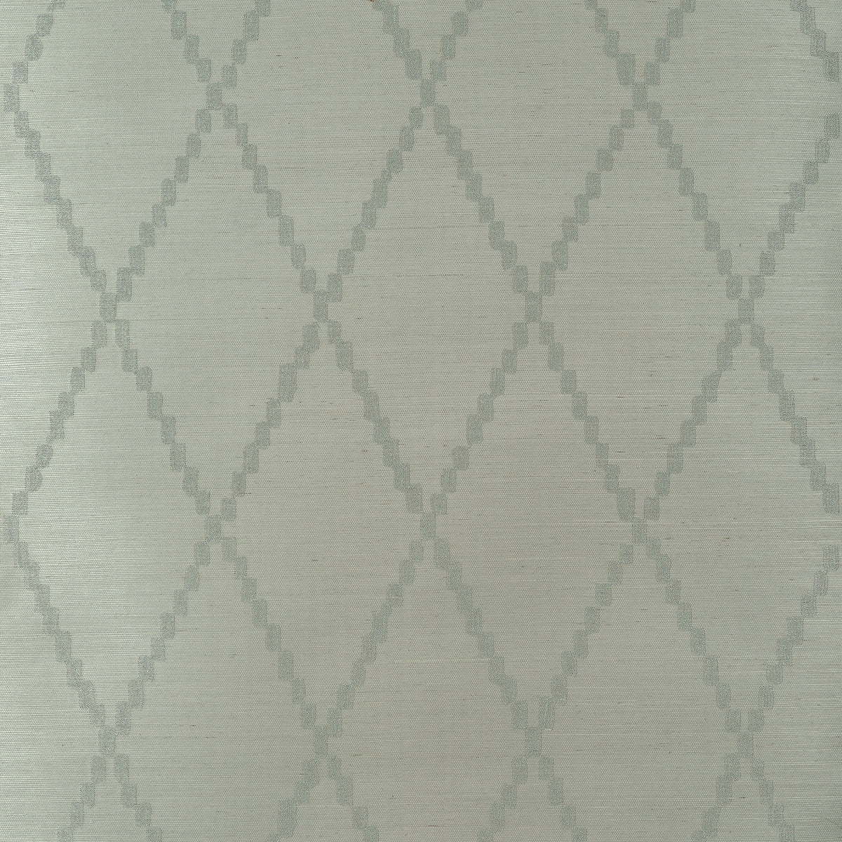 Ribbon Sisal Sage Belvedere Wallpaper by Anna French