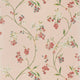 Edo Bloom Blush on Pearl Belvedere Wallpaper by Anna French
