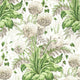 Dahlia Devon Spring on White Wallpaper by Anna French